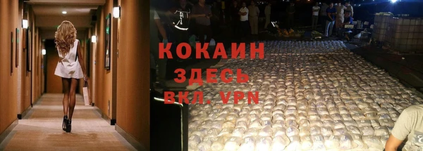 mdma Дмитриев